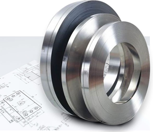 STAINLESS STEEL STRIPS